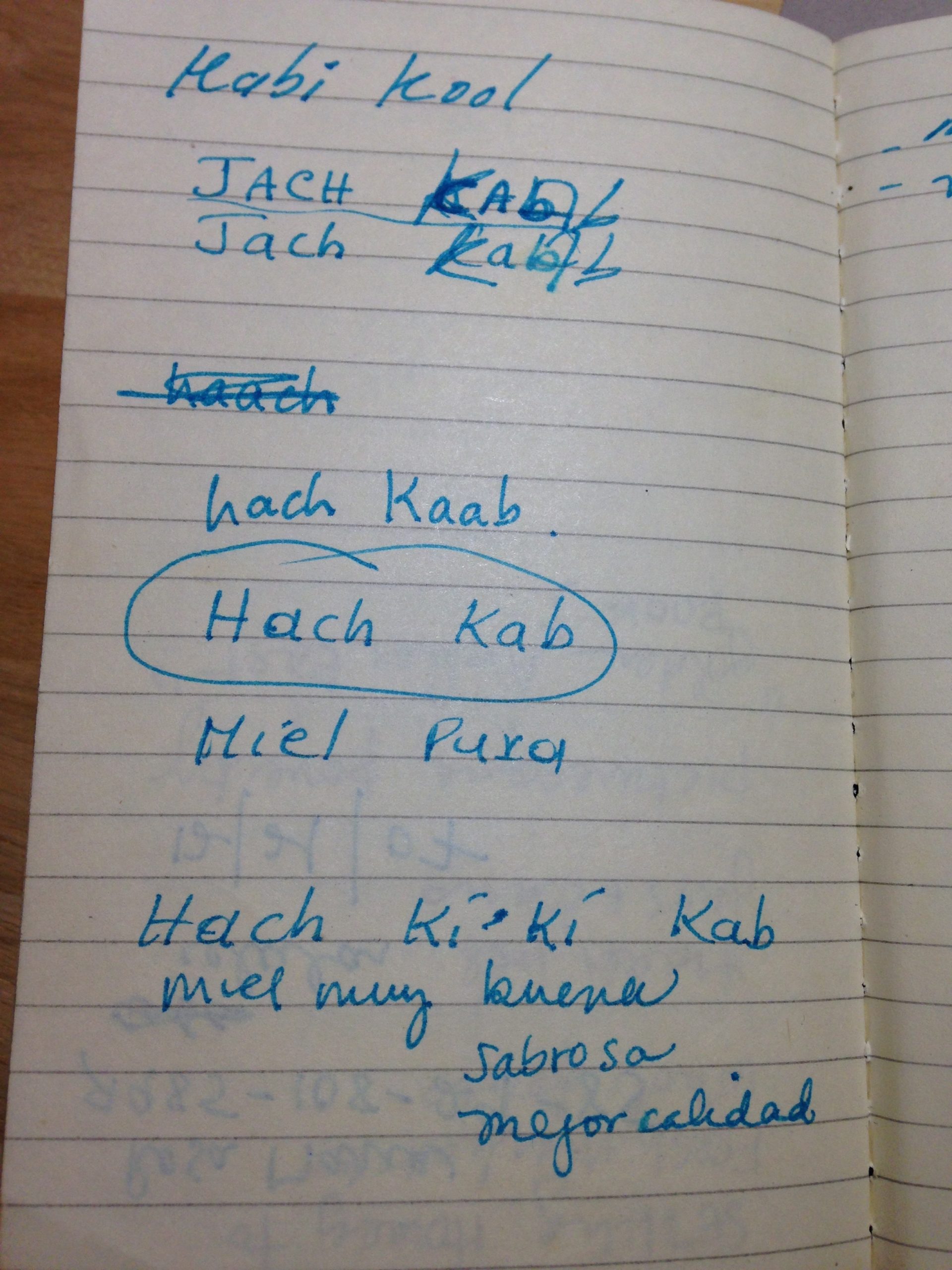 Hach Kaab notebook sketch